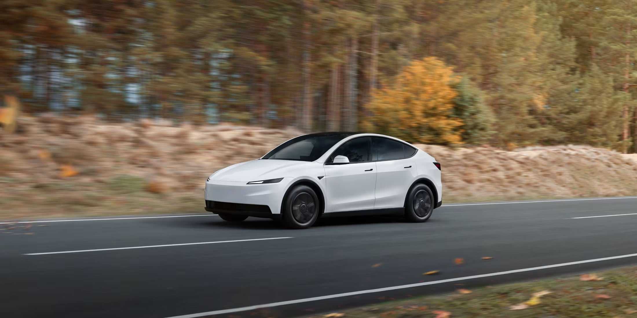 2026+ Model Y Standard