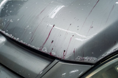 Car hood with water droplets and soap suds, indicating a car wash process.