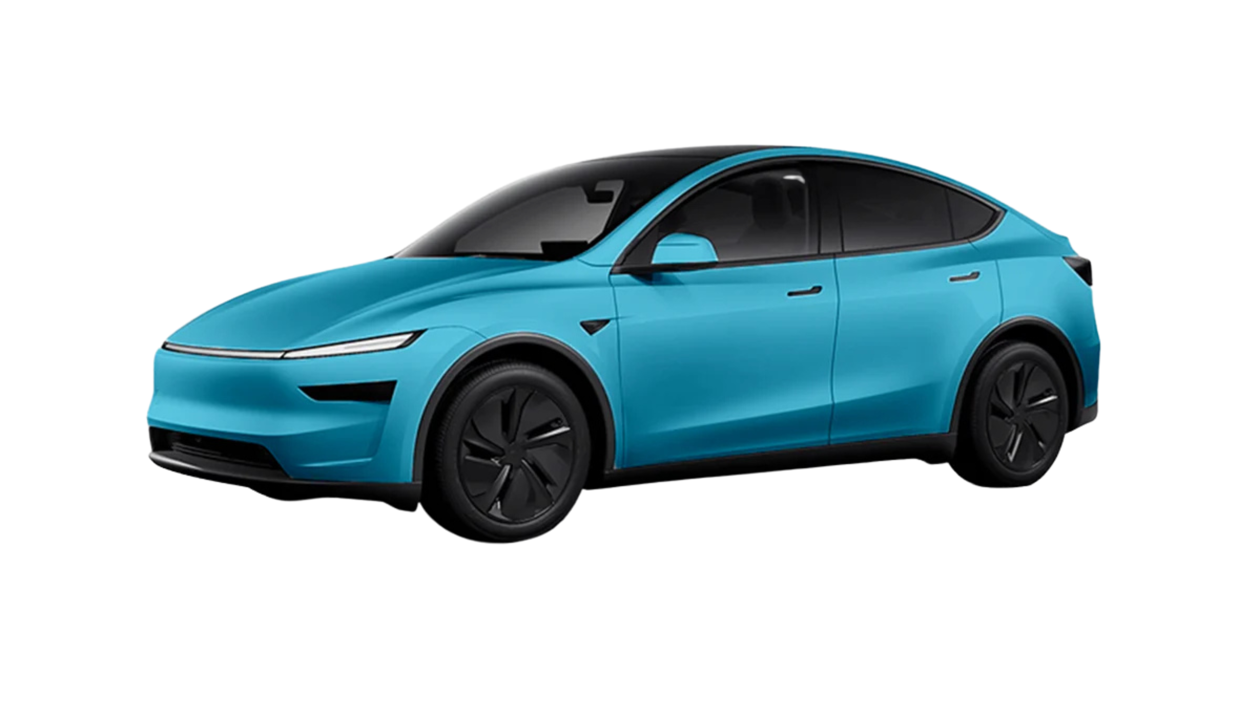 New Tesla Model Y Full Vehicle Clear PPF Experience