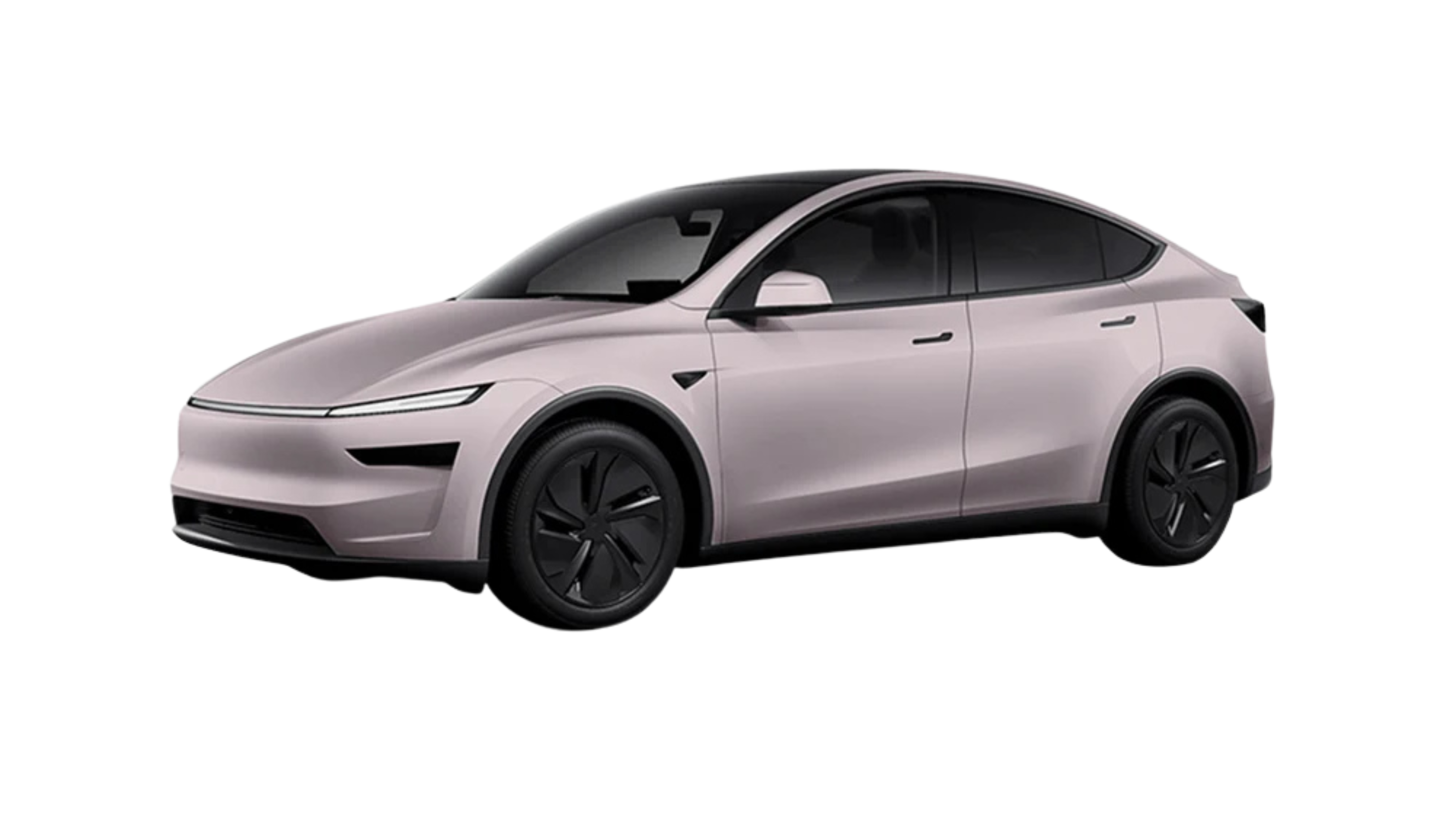 New Tesla Model Y Full Vehicle Matte PPF Experience