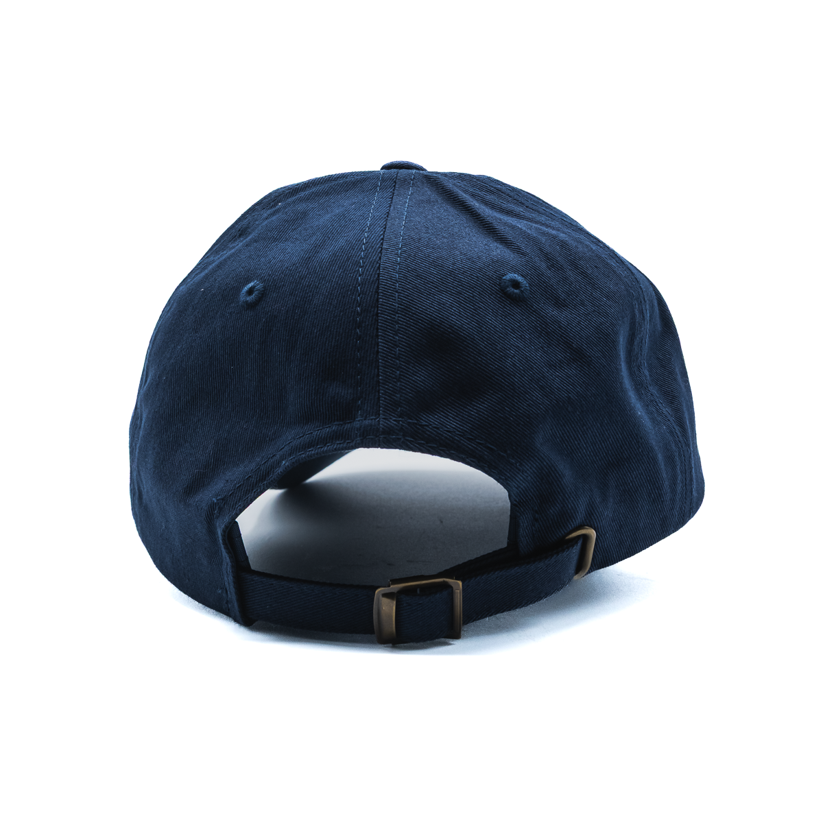 In Motion Dad Hat