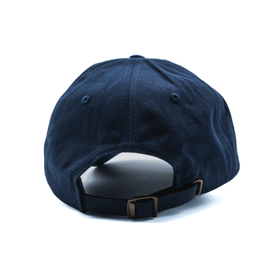 In Motion Dad Hat